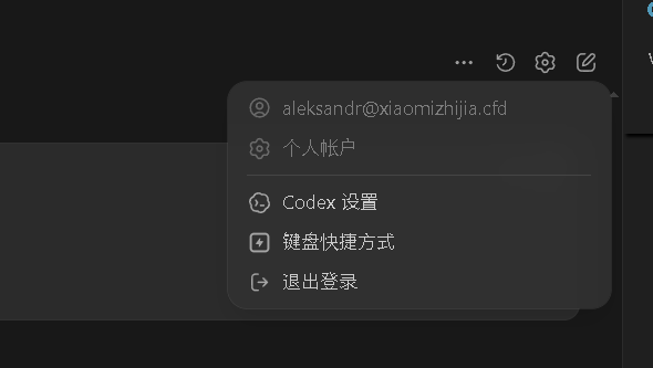Codex 登录后的账户菜单